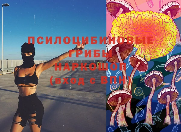амф Беломорск