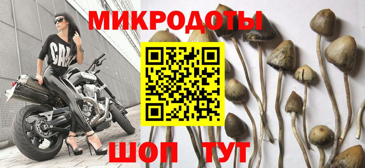 Галлюциногенные грибы прущие грибы Сердобск