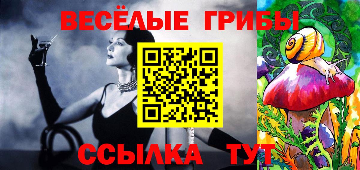 Псилоцибиновые грибы Psilocybe  Вход с VPN  Сердобск 