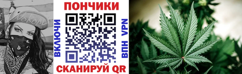сайты даркнета как зайти продажа наркотиков Сердобск Бошки Шишки OG Kush